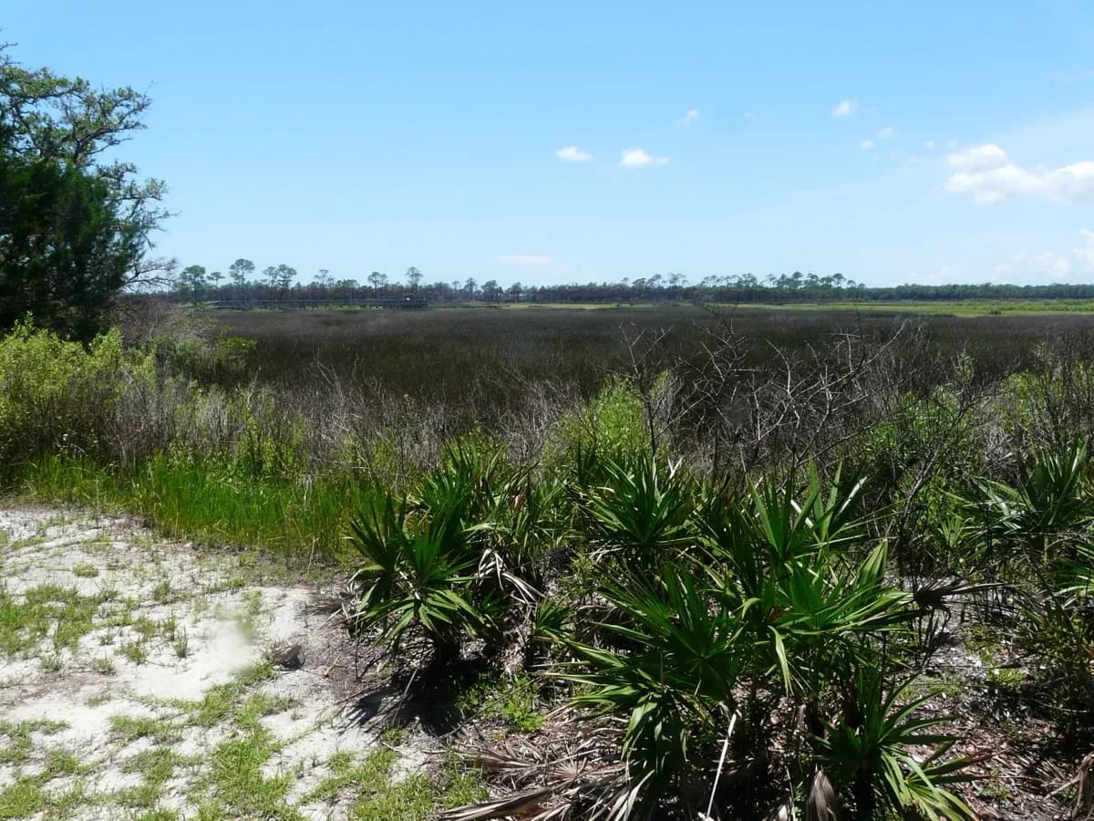 Bald Point State Park