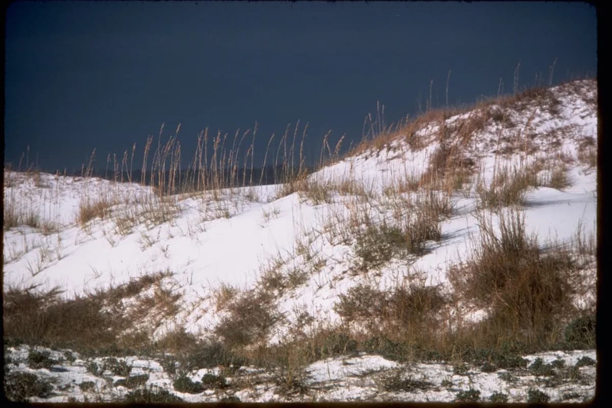 Gulf Islands National Seashore - Fort Pickens & Langdon Beach