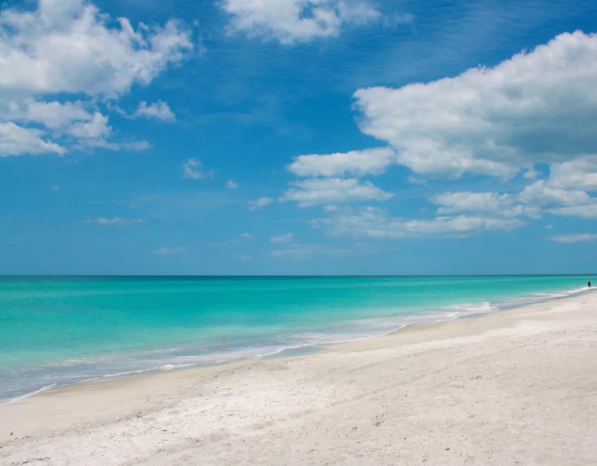 Beer Can Island (Longboat Key)